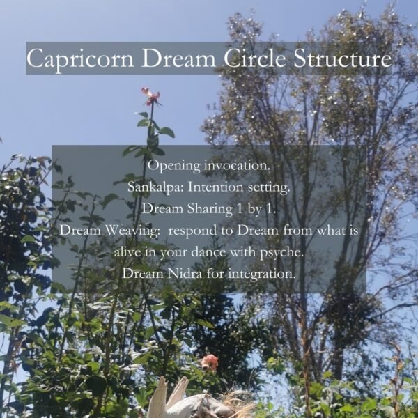 Embodied Dream Weaving: Capricorn Dream Circle - Image 4